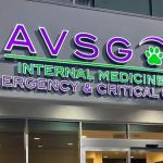 AVSG Internal Medicine Emergency & Critical Care