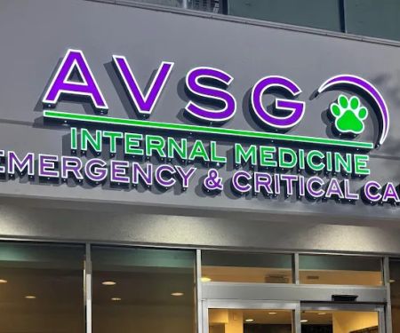 AVSG Internal Medicine Emergency & Critical Care