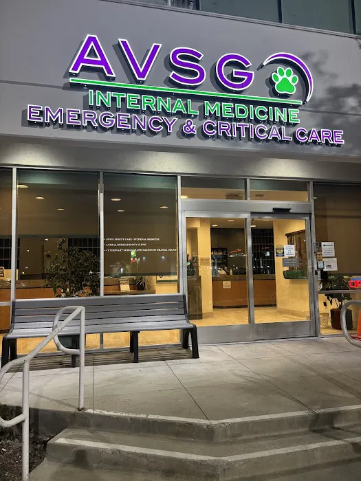 AVSG Internal Medicine Emergency & Critical Care Picture 3