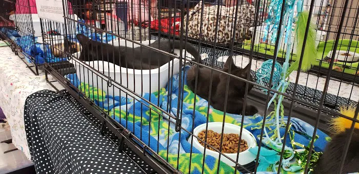 Petco Picture 1