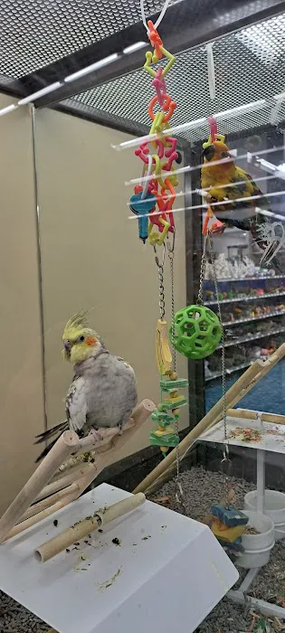 Petco Picture 9