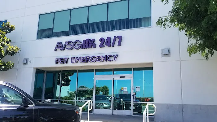 Animal Dermatology Clinic Picture 3