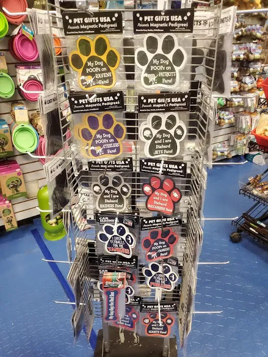Ultimate Doggie Destination Picture 7