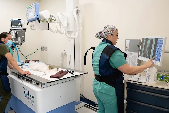 Veterinary Surgical Specialists Picture 4