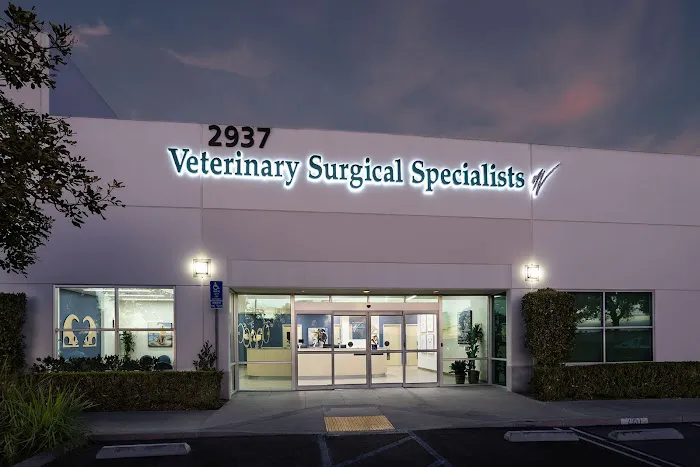 Veterinary Surgical Specialists Picture 1