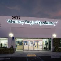 Veterinary Surgical Specialists ico