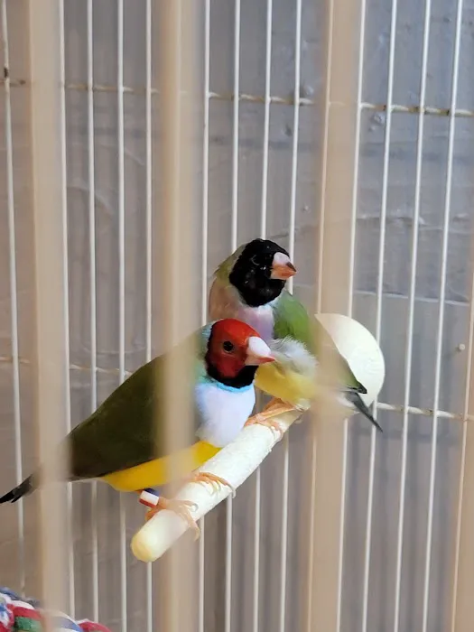 Stewarts bird farm Picture 1