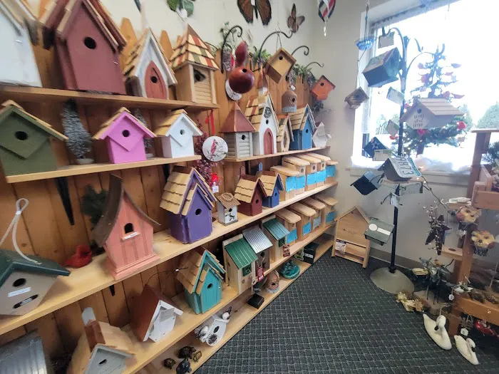 Stewarts bird farm Picture 4