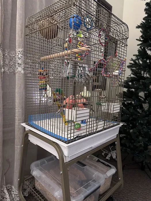Stewarts bird farm Picture 5