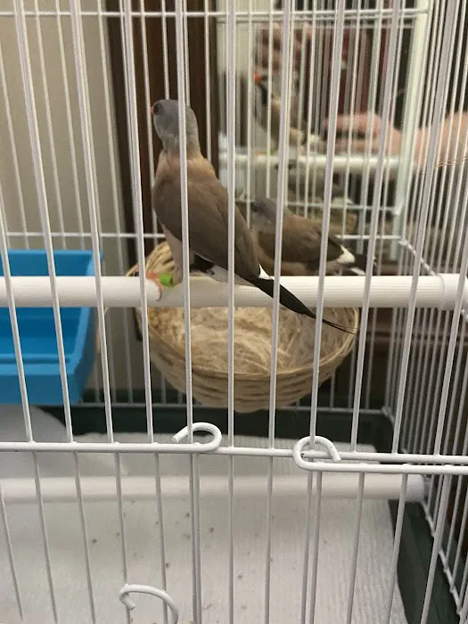 Stewarts bird farm Picture 9