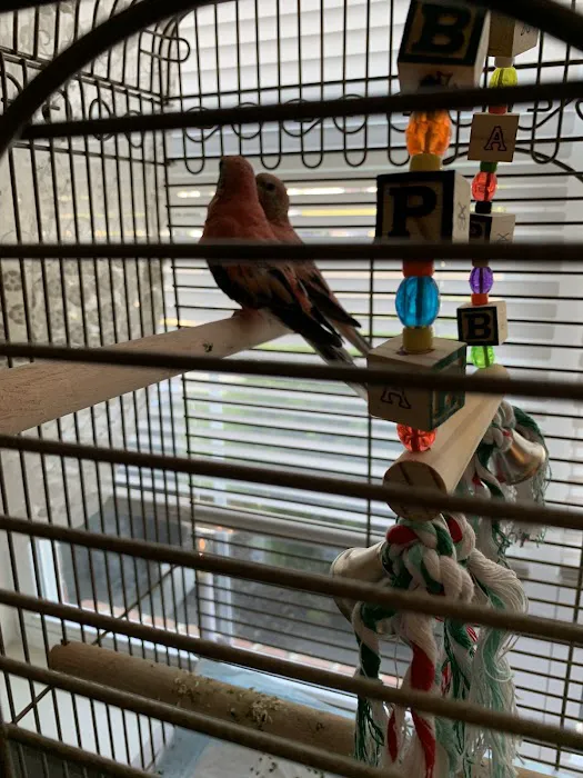 Stewarts bird farm Picture 3
