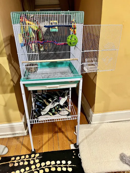 Stewarts bird farm Picture 7