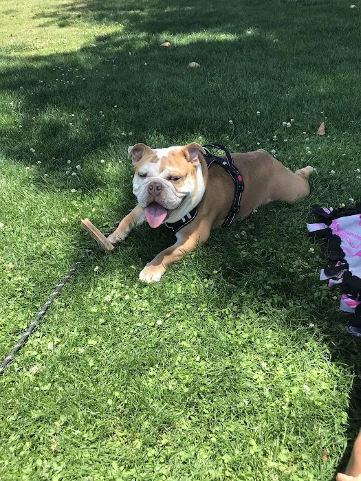 Eye Care for Animals - Tustin Picture 6
