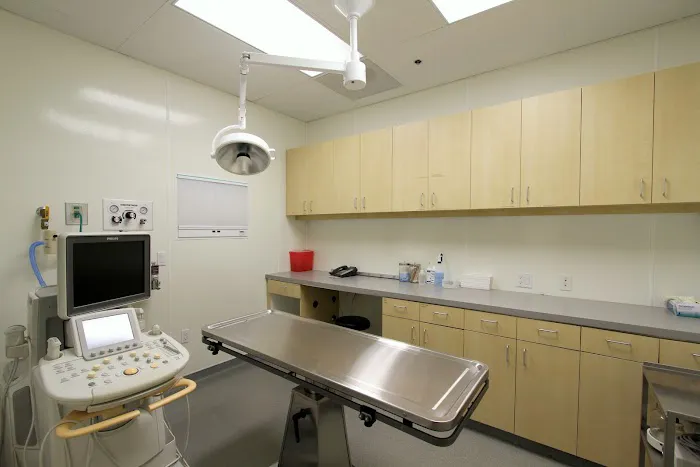 Advanced Veterinary Medical Imaging Picture 10