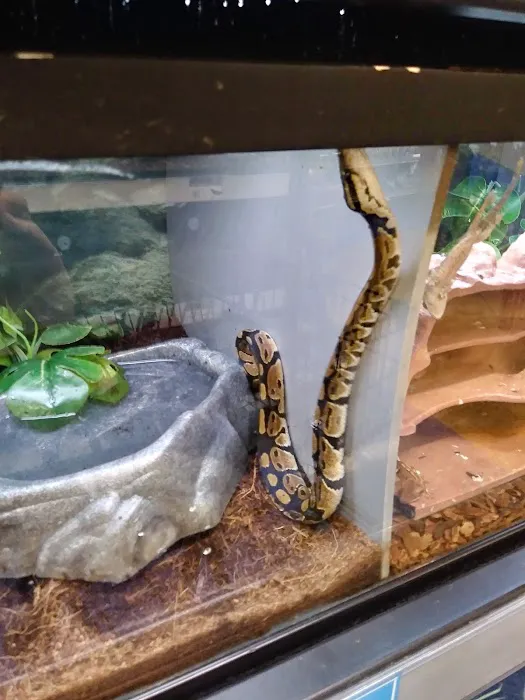 Petco Picture 3