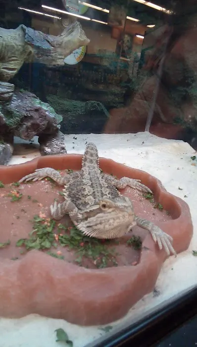 Petco Picture 1