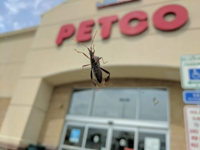 Petco Picture 9