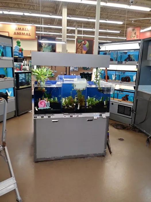 Petco Picture 8