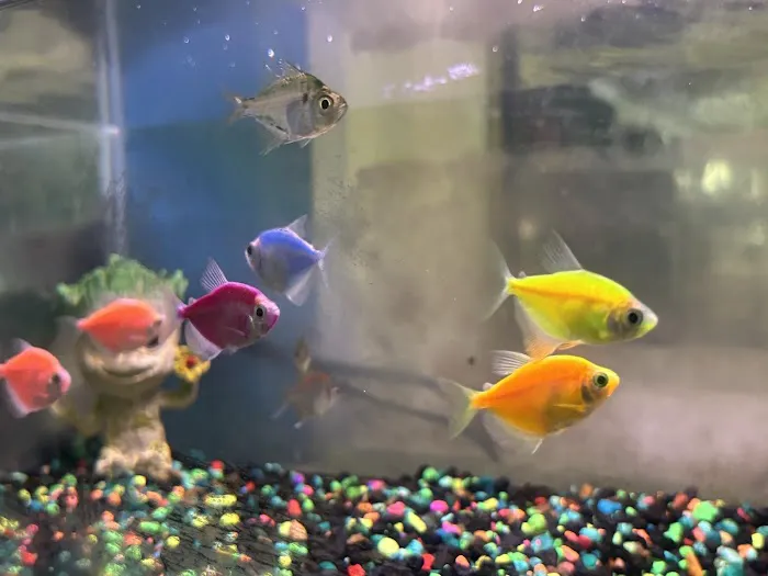 Alpha Pet Stop Picture 3