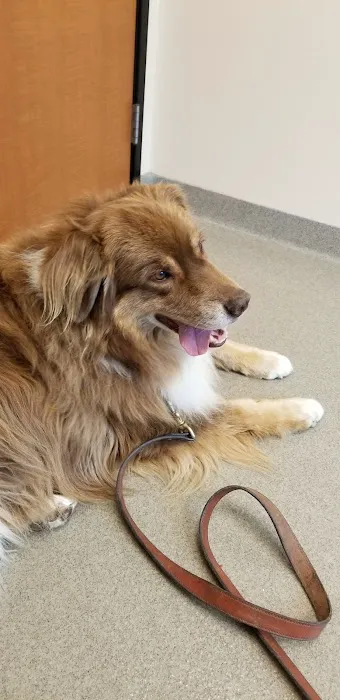 Veterinary Neurology Center Picture 4
