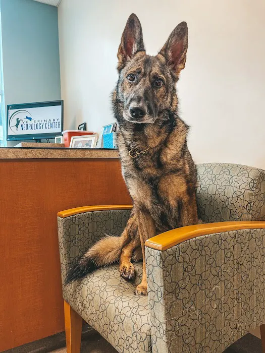 Veterinary Neurology Center Picture 8