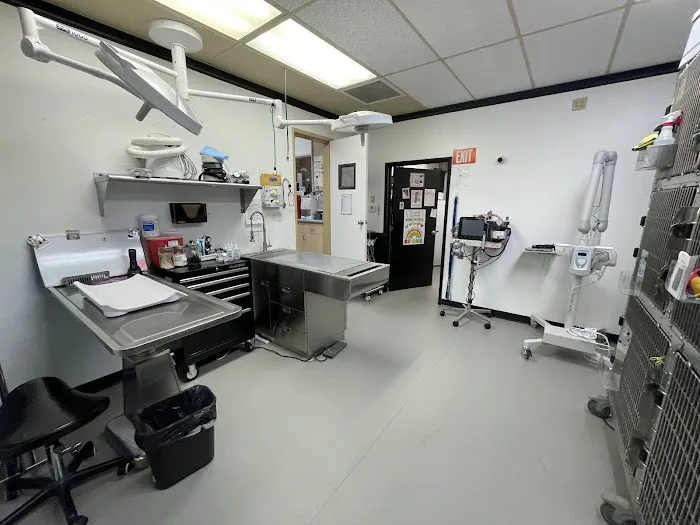 VCA Irvine Boulevard Animal Hospital Picture 7