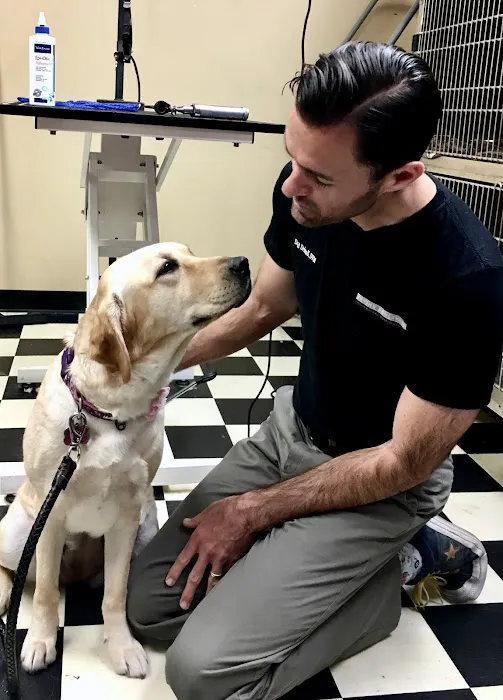 VCA Irvine Boulevard Animal Hospital Picture 5