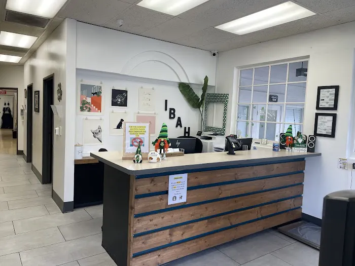 VCA Irvine Boulevard Animal Hospital Picture 3