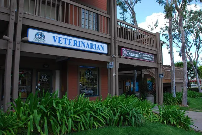 VCA Irvine Boulevard Animal Hospital Picture 4