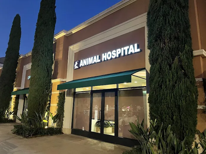 VCA Irvine Boulevard Animal Hospital Picture 6