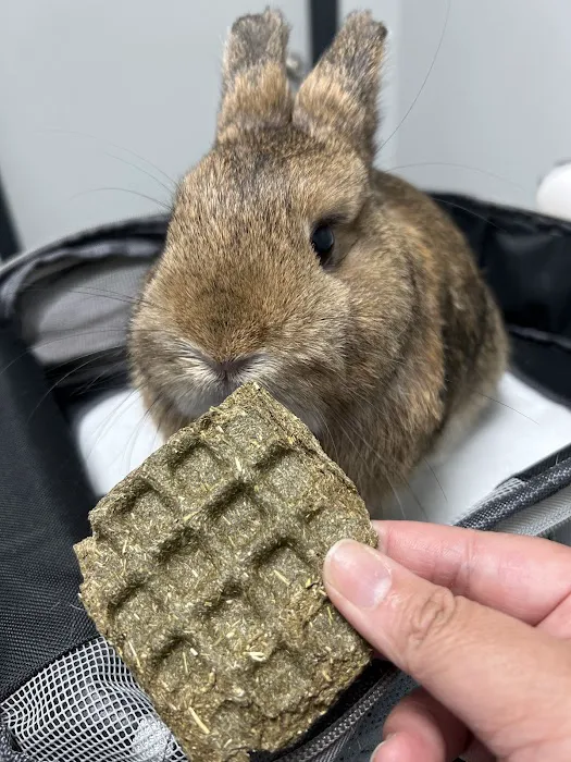 Northwood Animal Hospital Picture 1