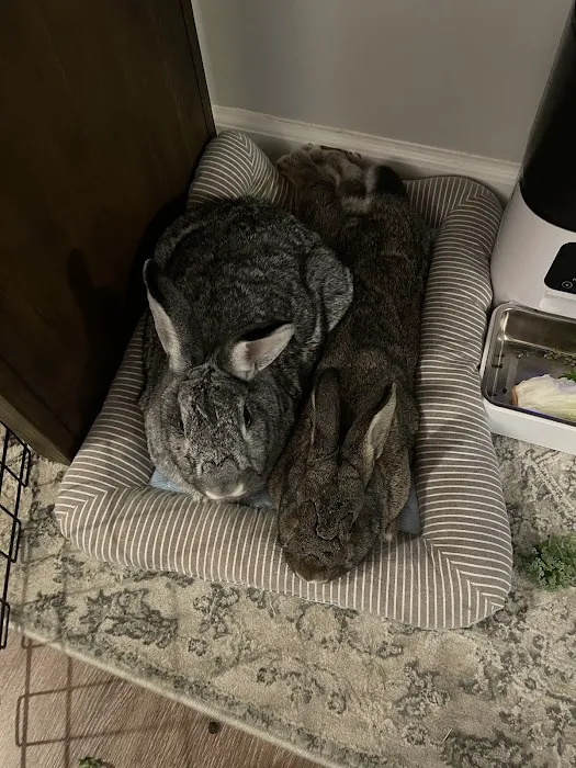 Northwood Animal Hospital Picture 2