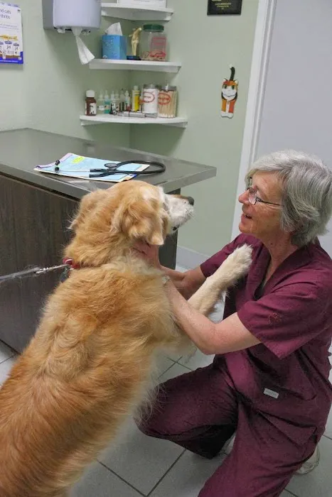 Northwood Animal Hospital Picture 6