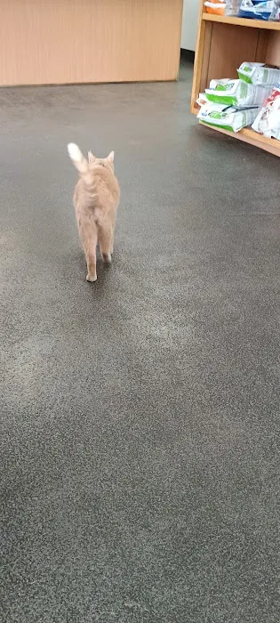 Northwood Animal Hospital Picture 7