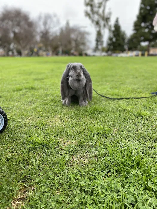 Northwood Animal Hospital Picture 5