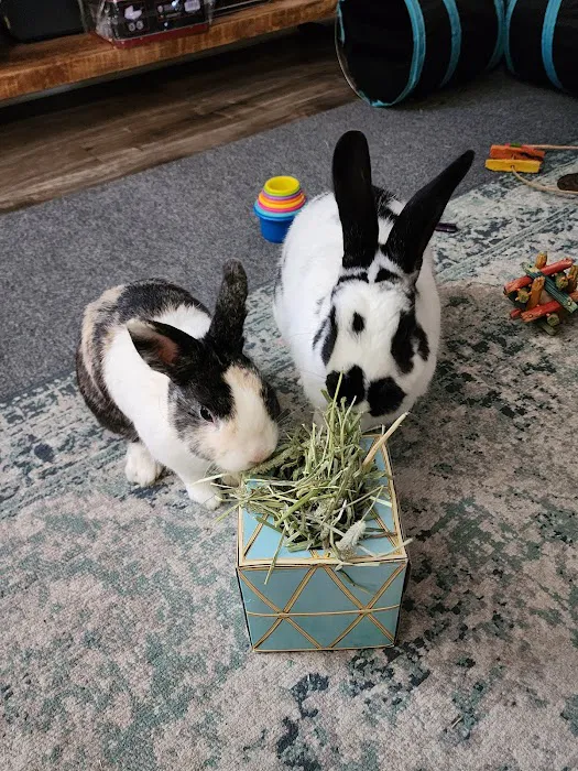 Northwood Animal Hospital Picture 10