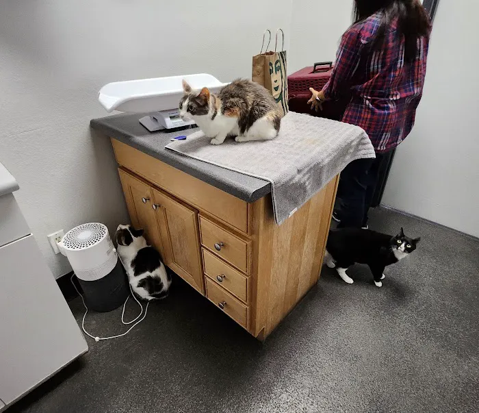 Northwood Animal Hospital Picture 8