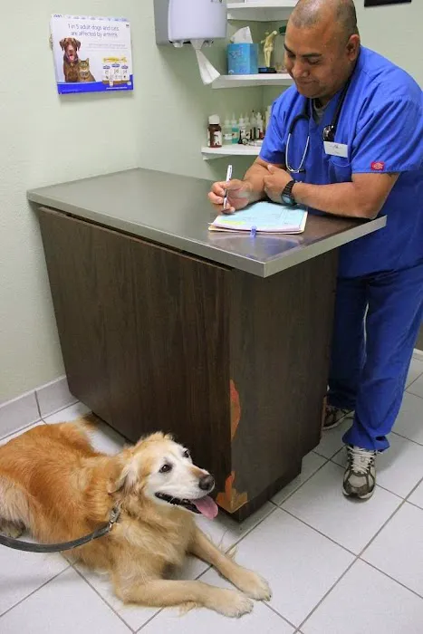 Northwood Animal Hospital Picture 9