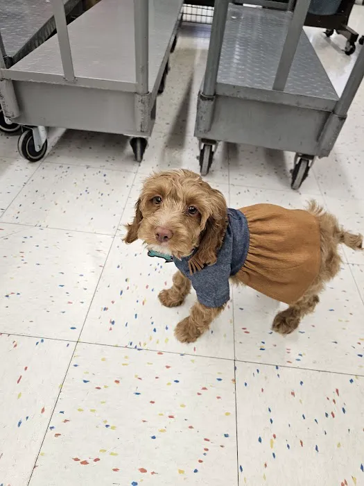 Petco Picture 9