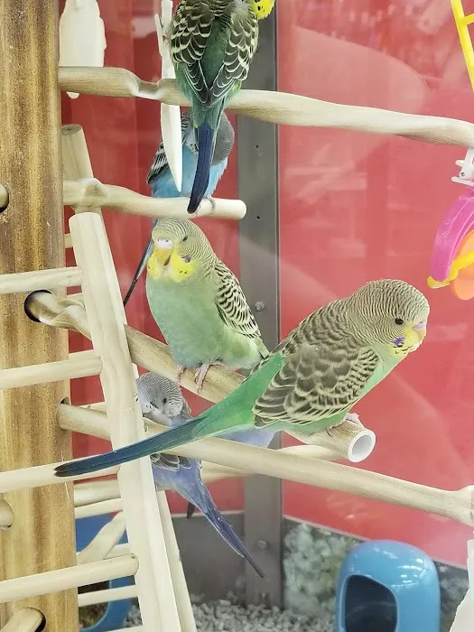 Petco Picture 10