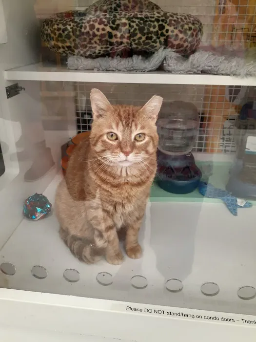 Petco Picture 2