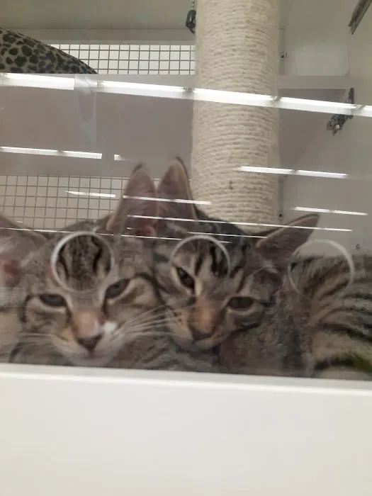 Petco Picture 7