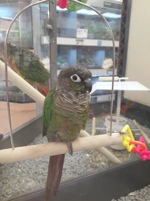 Petco Picture 6