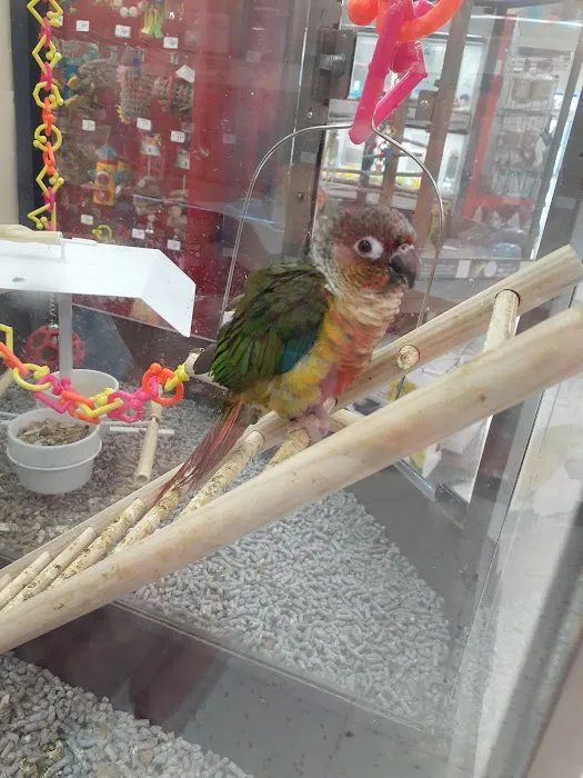 Petco Picture 4