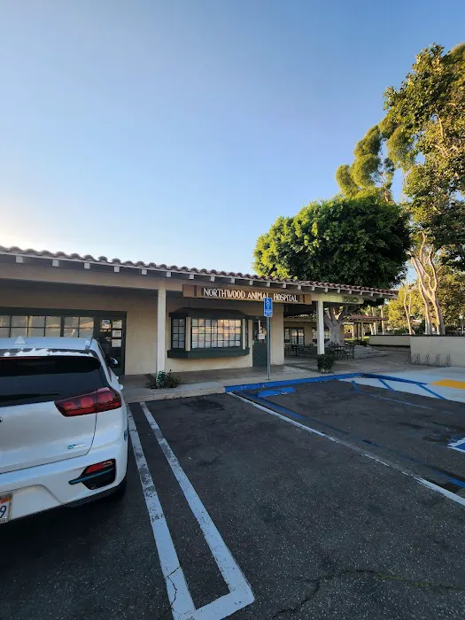 Fife Ora H DVM Picture 1