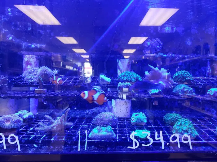 Exotic Fish & Pets Picture 7