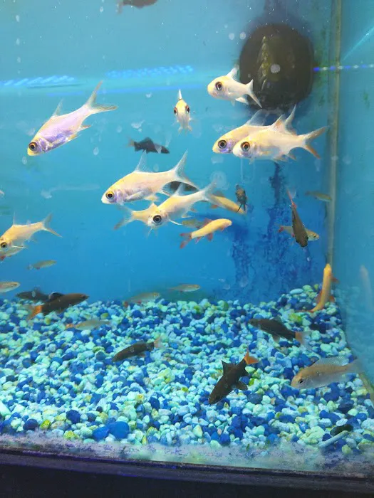Exotic Fish & Pets Picture 9