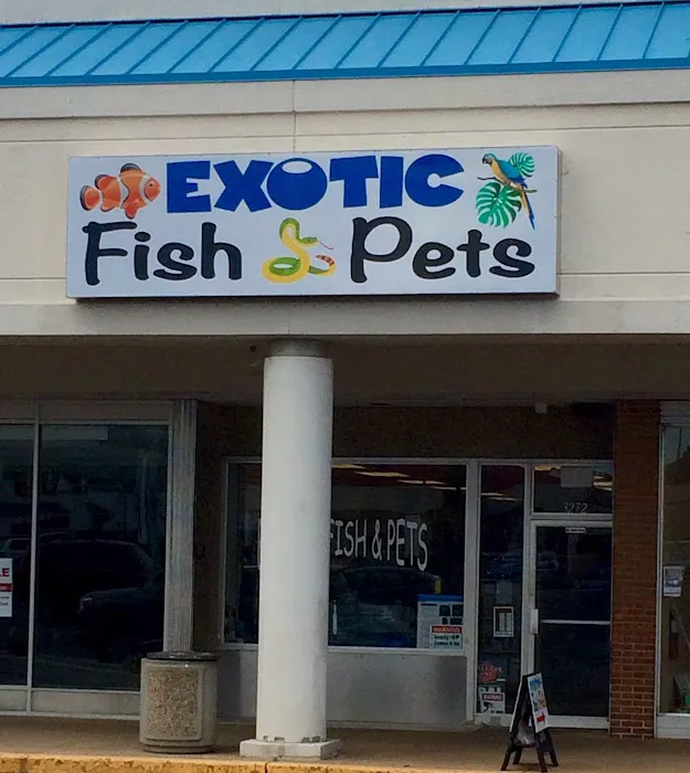 Exotic Fish & Pets Picture 2