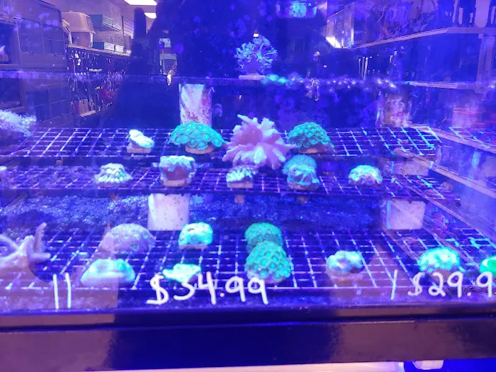 Exotic Fish & Pets Picture 1