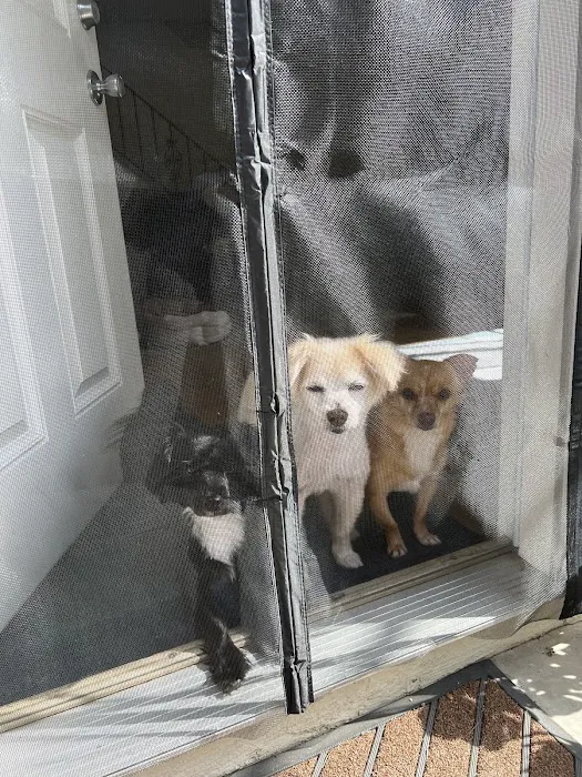 Sea Gate Veterinary Hospital Picture 4